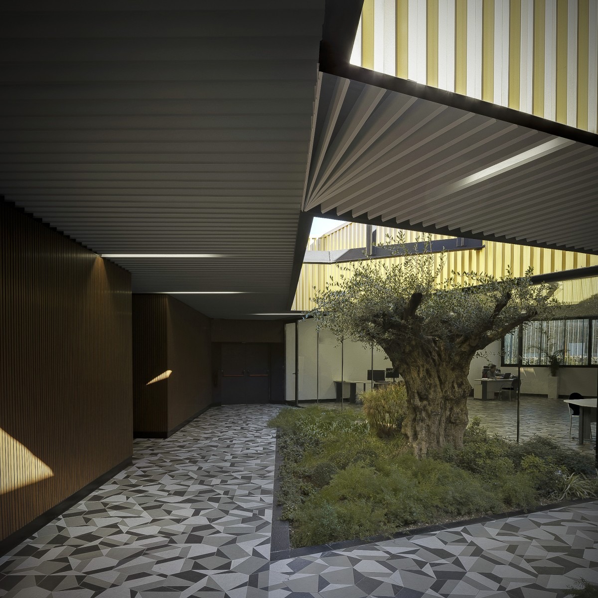 ACESUR 46.2 Almazara para oleoturismo arquitecto del aceite Mollinedo Arquitectura