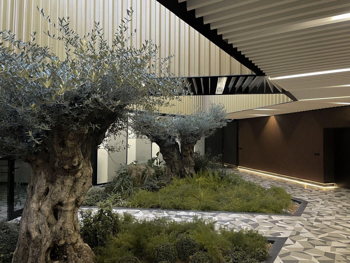 IMG_3734 Almazara para oleoturismo arquitecto del aceite Mollinedo Arquitectura
