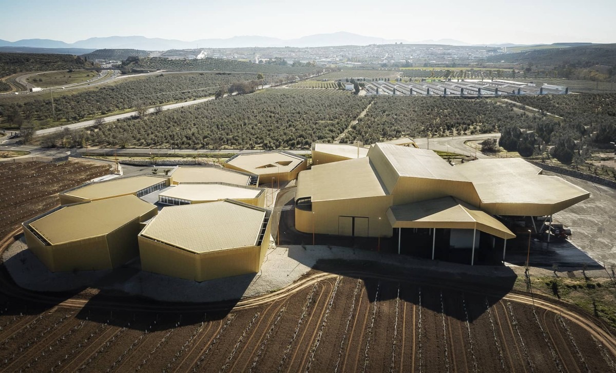a1.3.2 Almazara para oleoturismo arquitecto del aceite Mollinedo Arquitectura