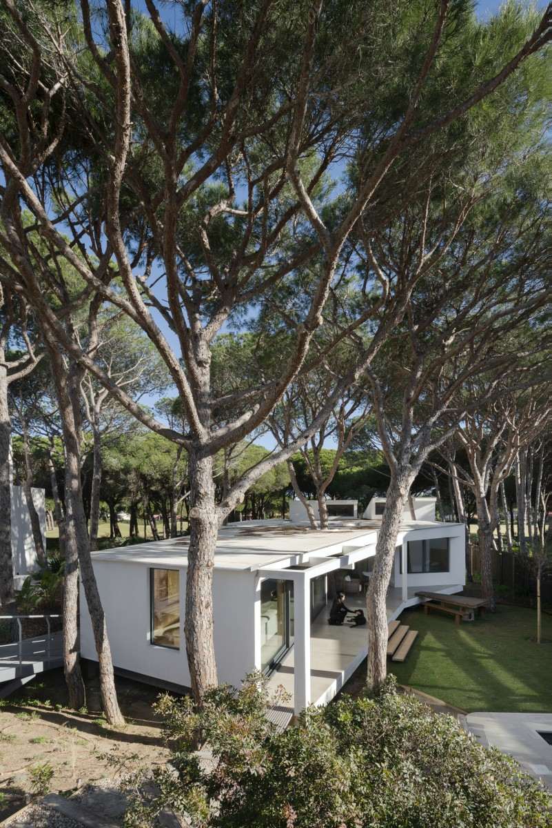 Pinola Casa Pinola Chiclana CLT Casa Pinola arquitectura Chiclana Pinola House interior madera Vivienda Pinola Cádiz arquitectura Casa bioclimática