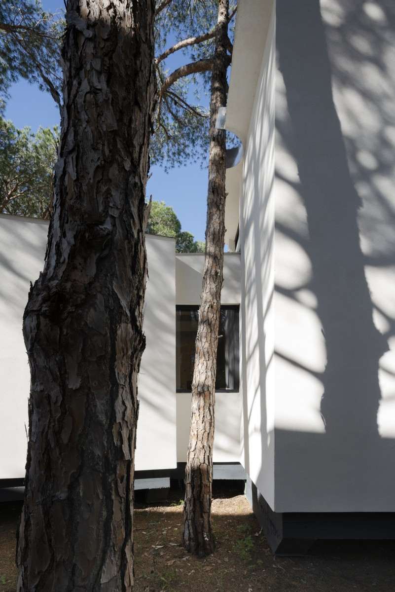 Pinola Casa Pinola Chiclana CLT Casa Pinola arquitectura Chiclana Pinola House interior madera Vivienda Pinola Cádiz arquitectura Casa bioclimática