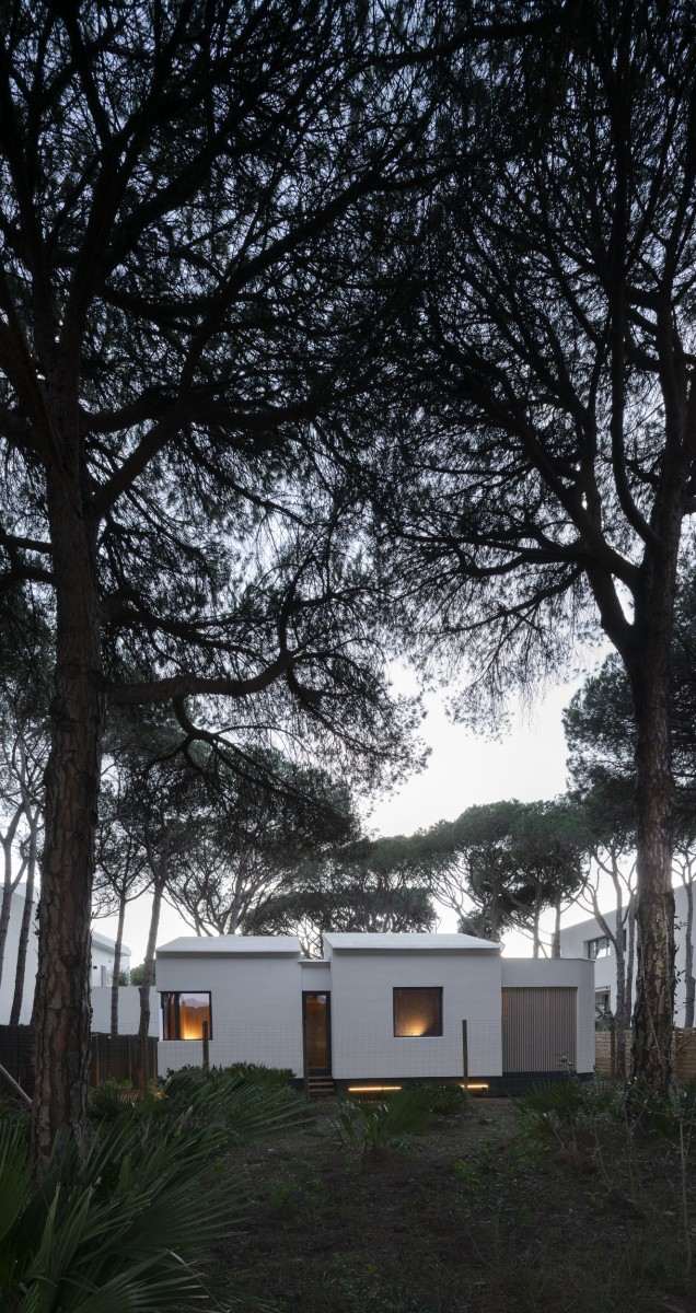 Pinola Casa Pinola Chiclana CLT Casa Pinola arquitectura Chiclana Pinola House interior madera Vivienda Pinola Cádiz arquitectura Casa bioclimática